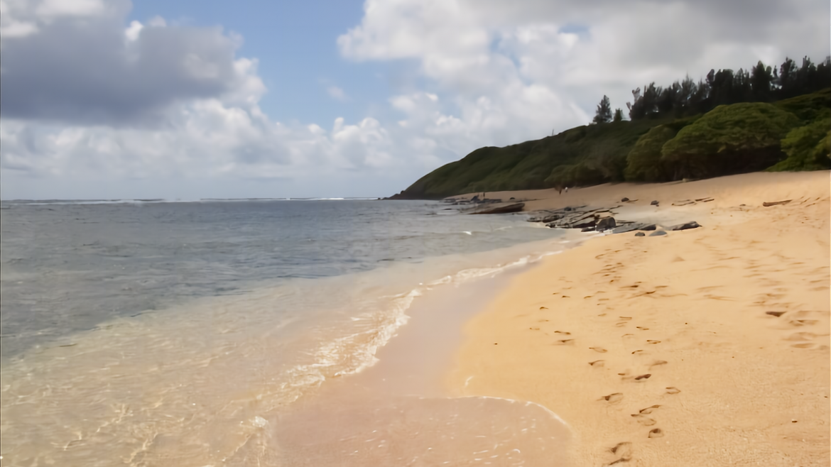 North Shore Beaches