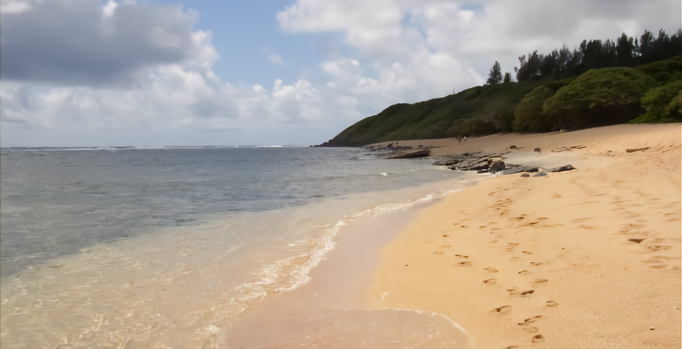 North Shore Beaches
