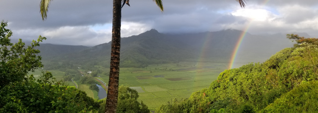 A double rainbow over the Hanalei Valley and River.