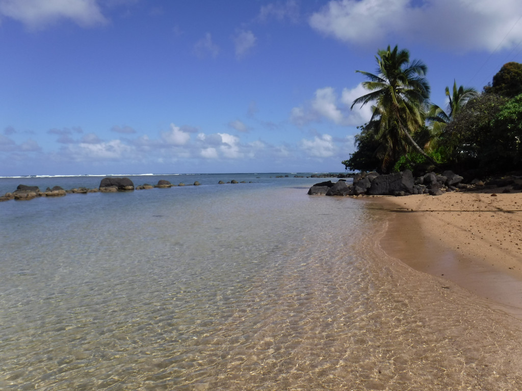 Travel Tip:  Anini Beach is reef protected, typically calm and shallow.